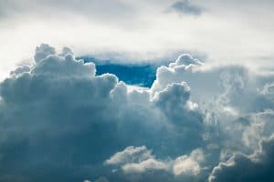 weather affects insects